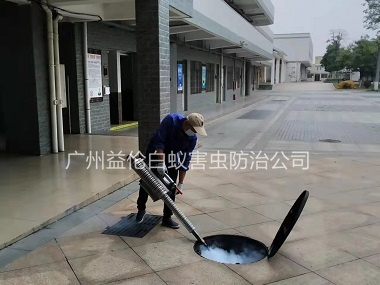 白云工业园除四害