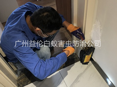 龙归住宅白蚁防治工程