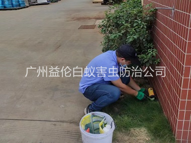 钟落潭布放灭鼠屋工程