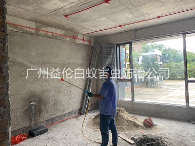 石马装修白蚁预防工程