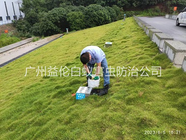 龙归水利堤坝鼠害防控工程
