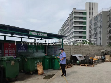 新市蚊蝇孳生地消杀工程