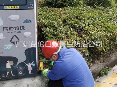 白云区施药灭鼠工程